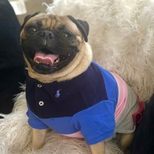 Meet your Posher, Jerry